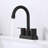 Topcraft 2 Handle Stainless Steel Bathroom Sink Faucet-111923566