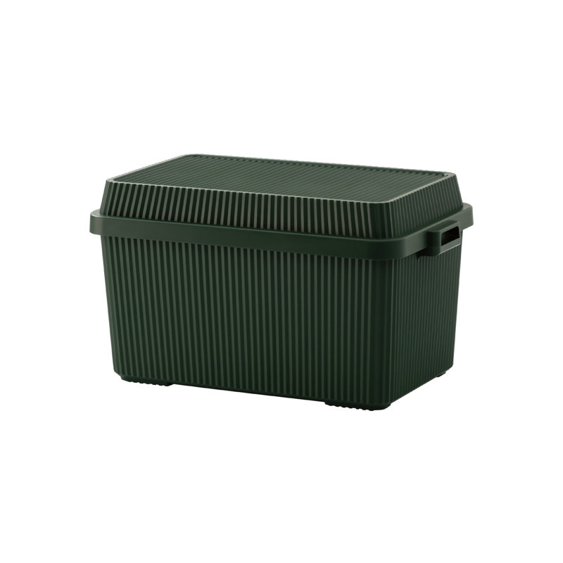 Boîte de rangement en plastique Like-it, H 17,75 po x l 16,61 po x P 27,83 po, Vert