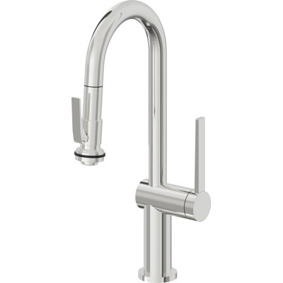 La Spezia Kitchen Faucet