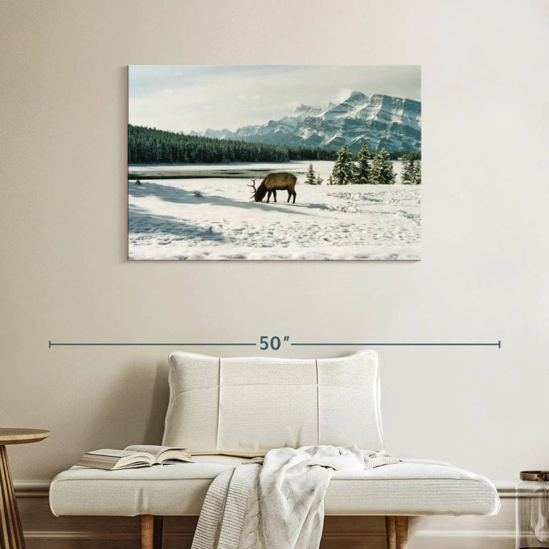 Brampt Banff Bull Elk, 26" H x 39" W