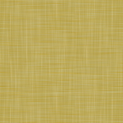 Lorenzo Castillo Volume V Vinyl Wallpaper Roll by Gaston Y Daniela
