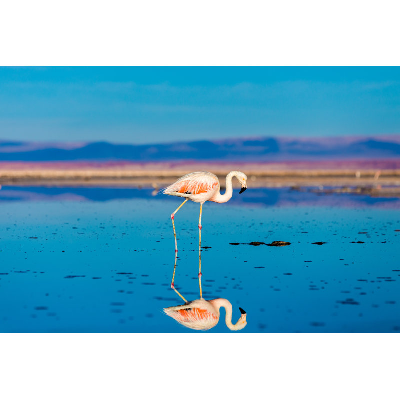 Atacama Desert With Wild Flamingos by Filipefrazao - No Frame Print on Canvas, 20cm x 30cm W