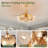 Avienne Ceiling Fan with 12 Light Kit-951284703