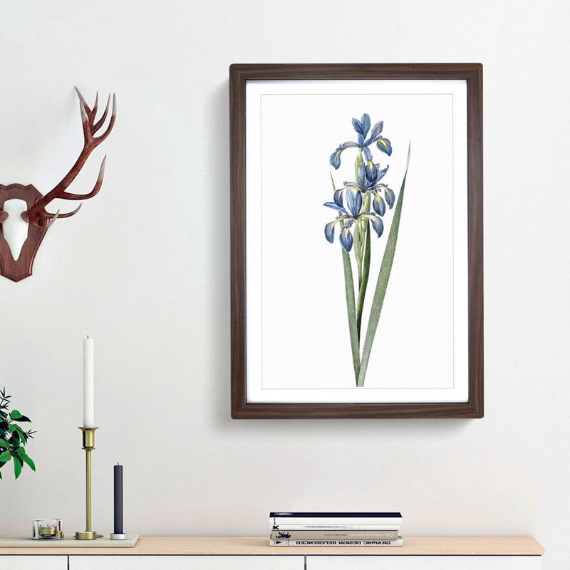 Blue Iris Flowers by Pierre-Joseph Redoute - Picture Frame Art Print, 36cm H x 27cm W x 2cm D, Walnut Framed