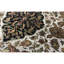 Suruchi One-of-a-Kind 6'1" X 8'11" Area Rug