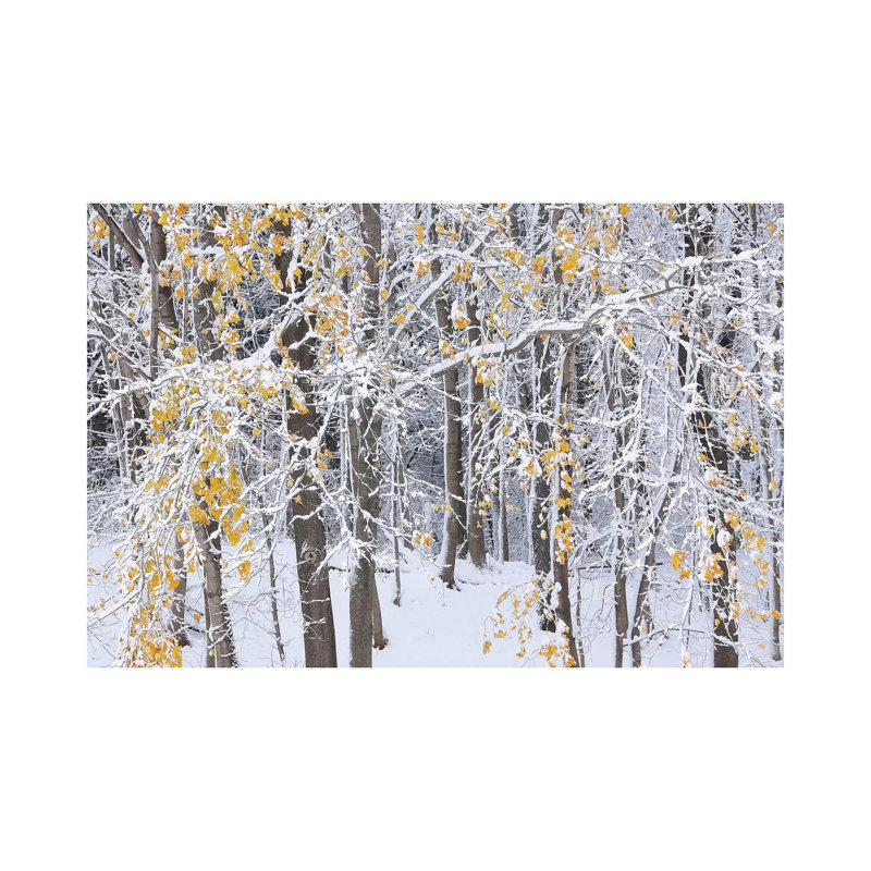 Goodbye Autumn by Brian Wolf - Wrapped Canvas Print, 30.48cm H x 45.72cm W x 1.91cm D
