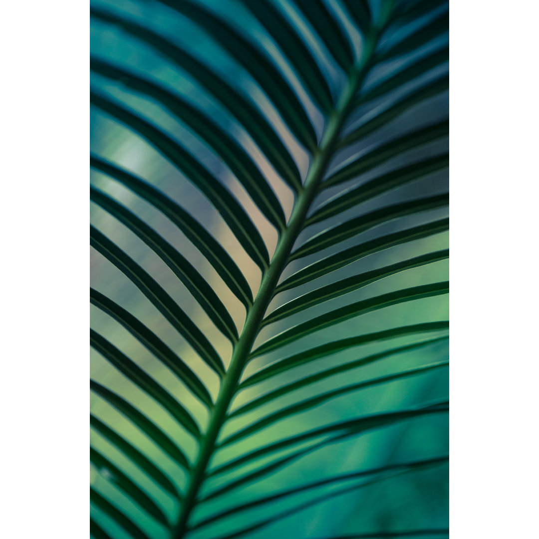 Palm Leaf von Jasmina007 - Kunstdrucke auf Leinwand