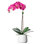 Orchid Floral Arrangements in Planter
