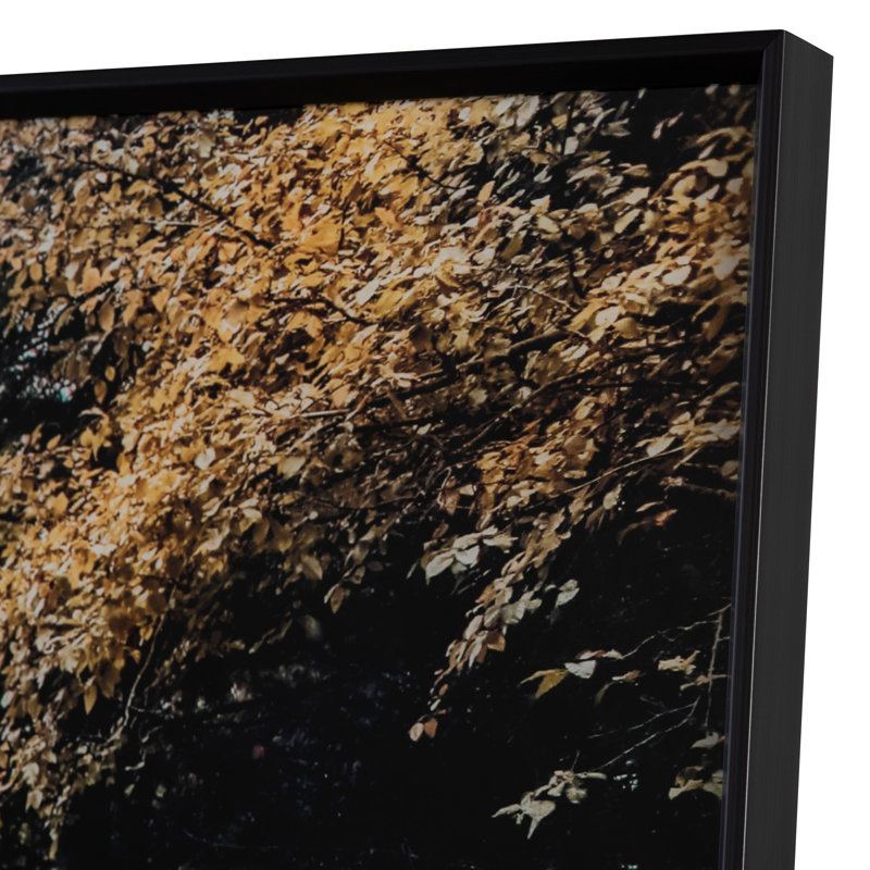 Autumn Tracks Rustic Landscape Framed Print on Glass