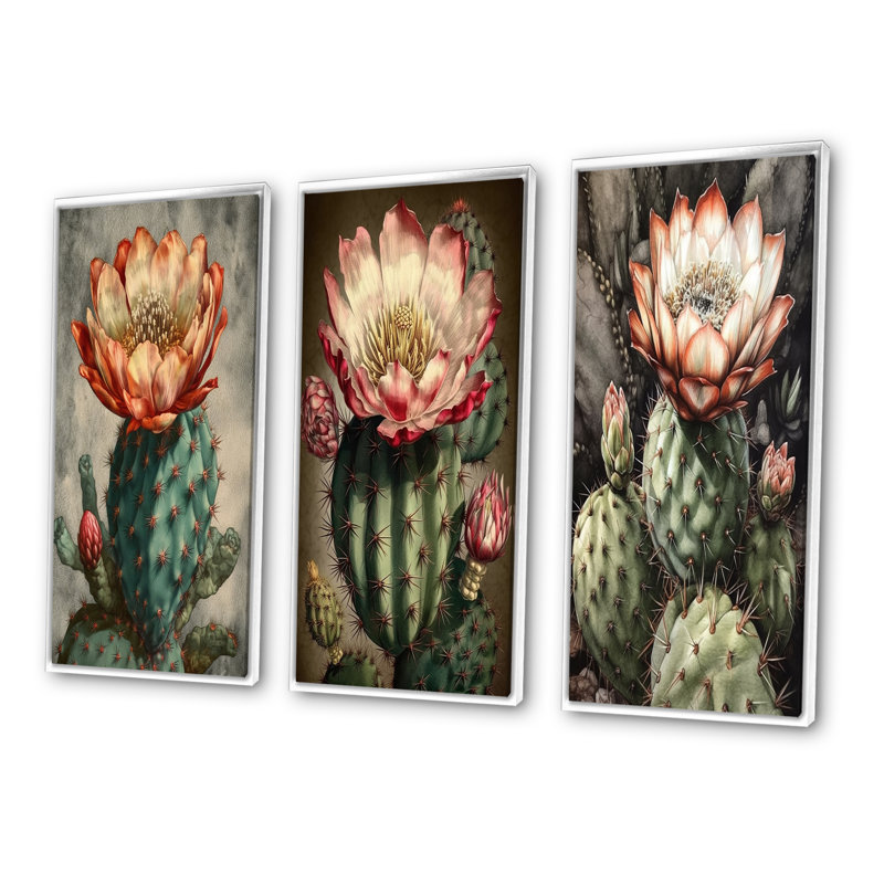 Ensemble de 3 fleurs de cactus en fleurs, Cadre flottant blanc, H 40 po x l 60 po