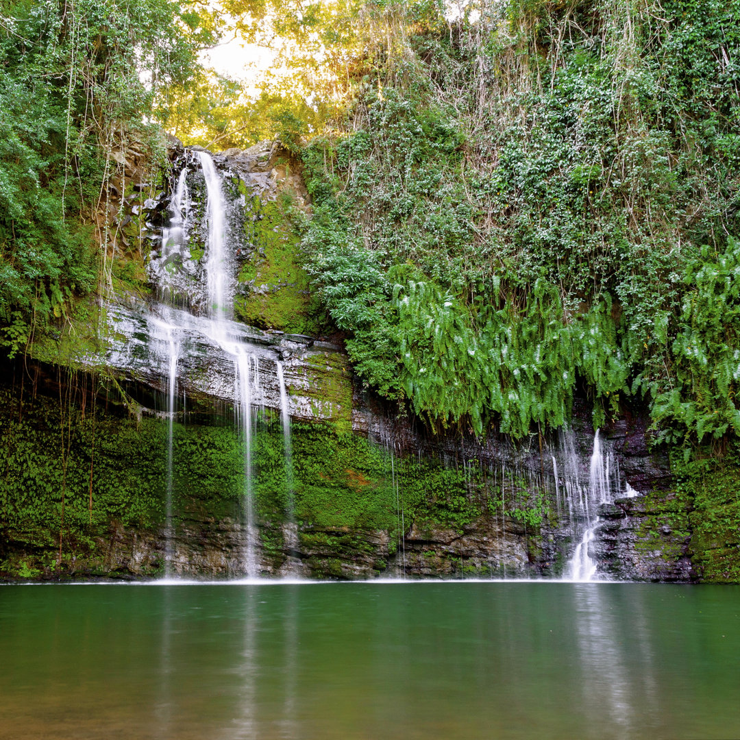 Wasserfall im Wald von Italiansight - Kunstdrucke auf Leinwand