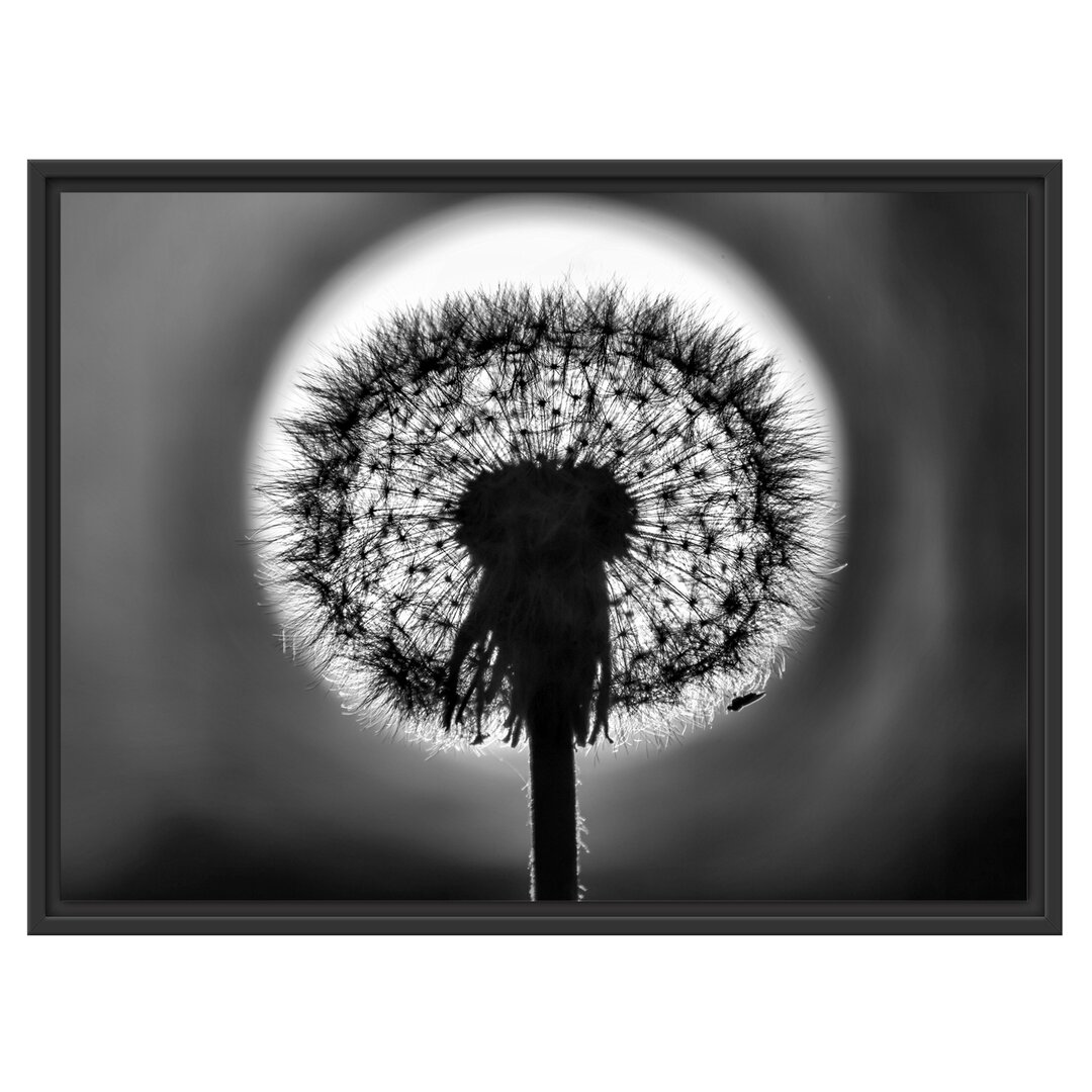 Gerahmtes Wandbild Pusteblume