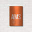 Ebern Designs «AMS ATC» par O8, art mural en métal-380927277