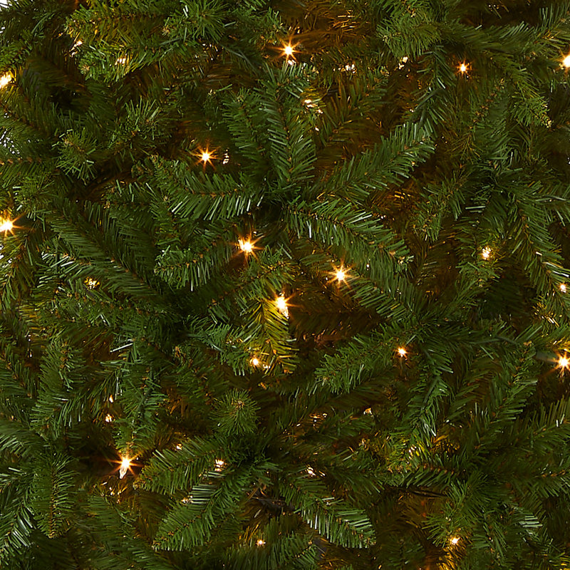 The Holiday Aisle® Kingswood Fir Pencil Tree with Clear Lights, 7.5'