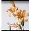 Petite tige de lys - 15 po-975267838-975267809