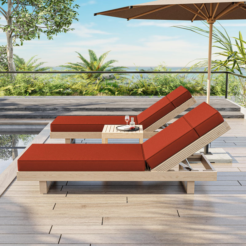 Coussin de chaise longue d'extérieur Wynee, L 25,8 po x P 79,75 po, Orange