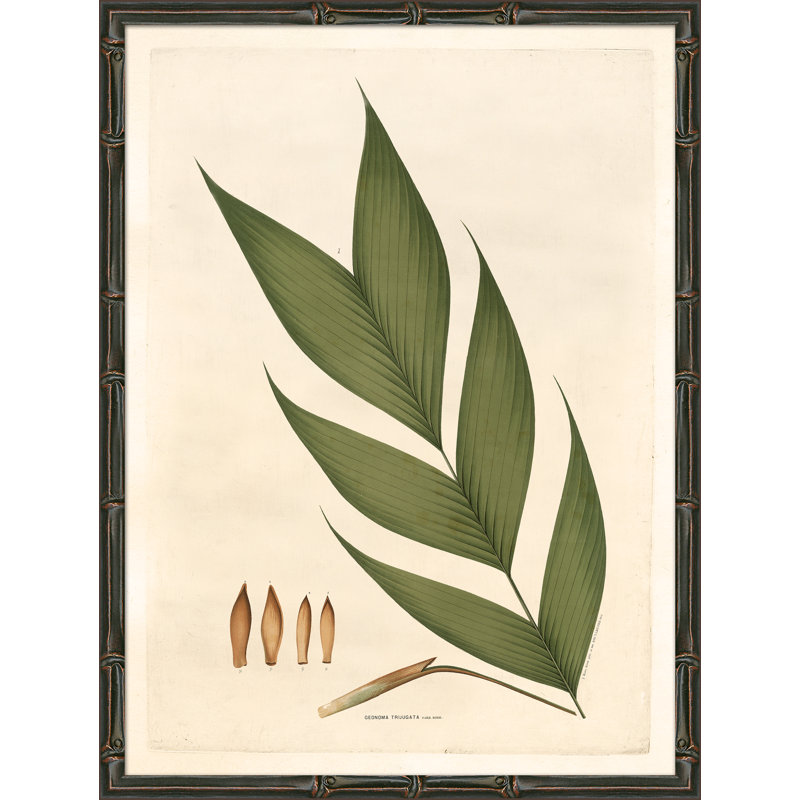 Palm Fronds Giclee Print