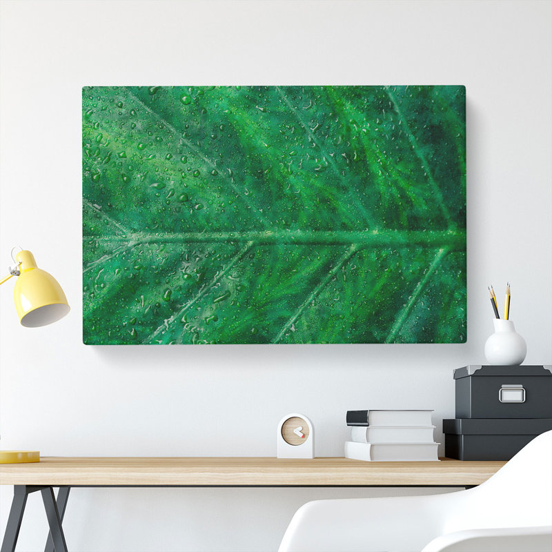 Green Leaf Pattern - Wrapped Canvas Print, 40cm H x 60cm W x 3cm D