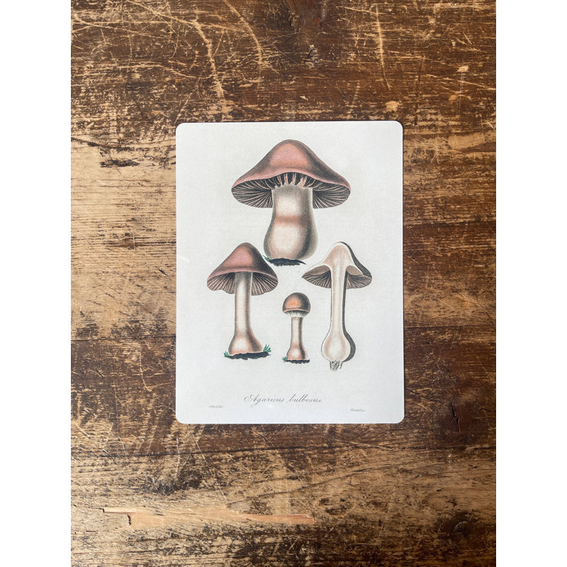Brown Death Cap Mushroom Metal Wall Décor, 80cm H x 60cm W