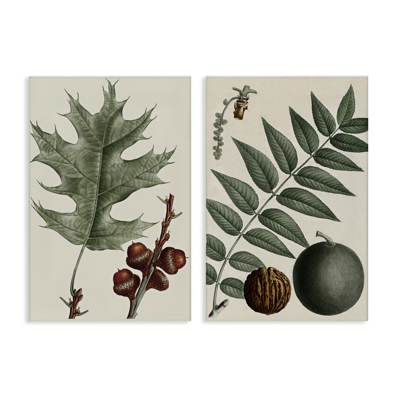  «Tree Leaves & Nuts», ensemble de 2 toiles murales par Graffi * Tee, H 24 po x l 16 po