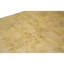 Hand Knotted Area Rug in Straw And Sage