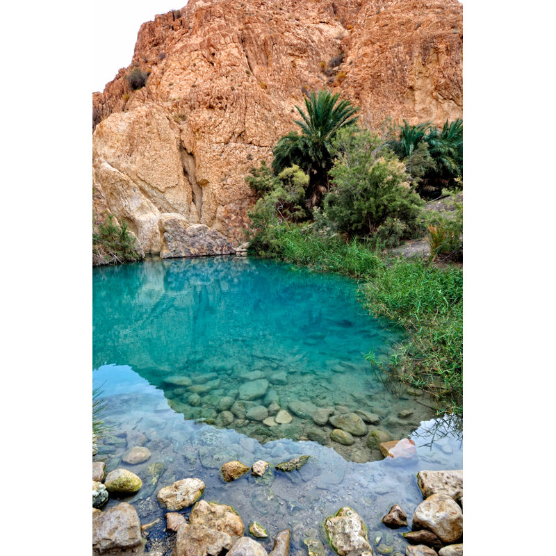 Mountain Oasis Chebika by IgorSPb - Wrapped Canvas Print, 46cm H x 30cm W