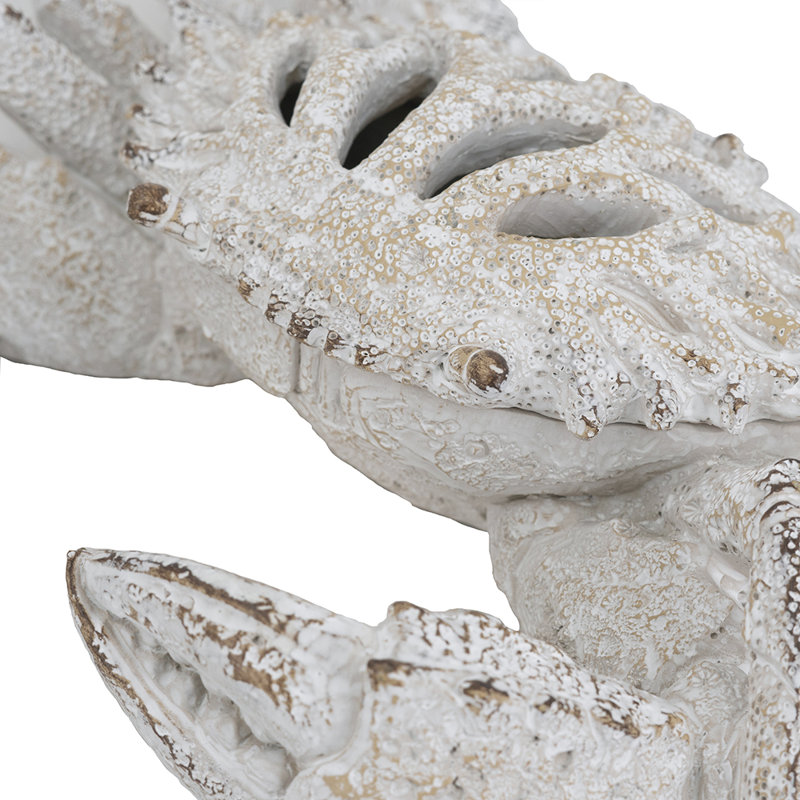 Arinjay Coral Look Crab 11" x 7.5" x 2.5" White