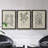 " Antique Black And White Botanical VII " 3 - Pieces-408395205-408395206