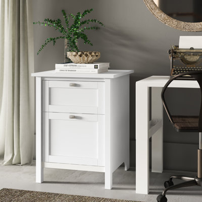 Aliyat 23.19'' Wide 2 -Drawer File Cabinet