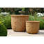 Vaughn Fiberglass Pot Planter-64593794