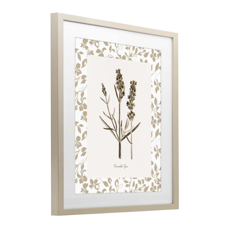 «Neutral Imperial Herb Study», reproduction sous verre encadrée, design par Kelly Donovan, Cadre de récolte en pin