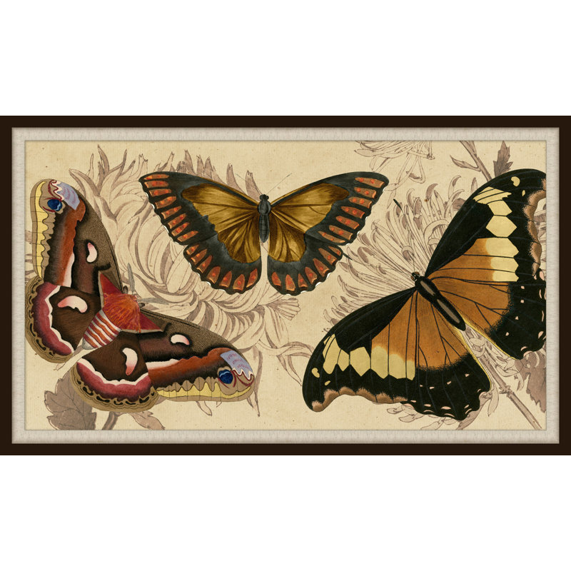 «Butterfly Détail 1 - Shadowbox», impression sur papier