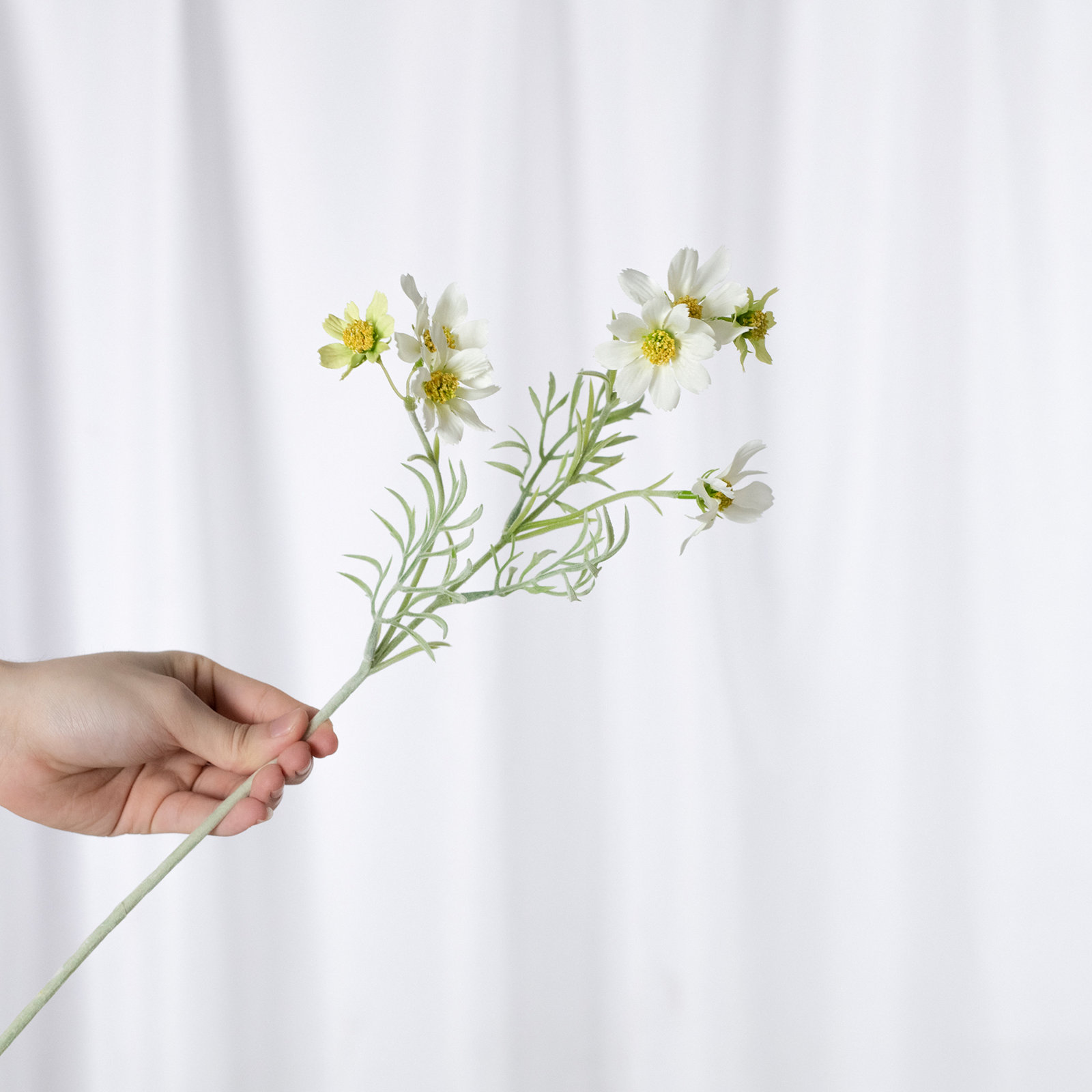 Audet Cornflower Stems, White, 18.33" x 4"
