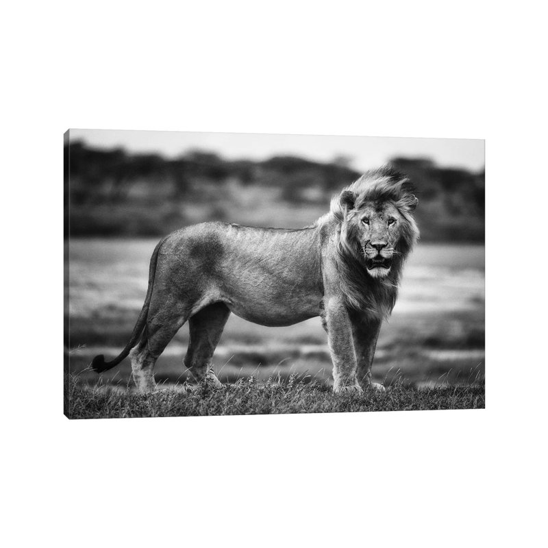 Royal Pose by Mohammed Alnaser - Wrapped Canvas Gallery-Wrapped Canvas Giclée, 30.48 cm H x 45.72 cm W