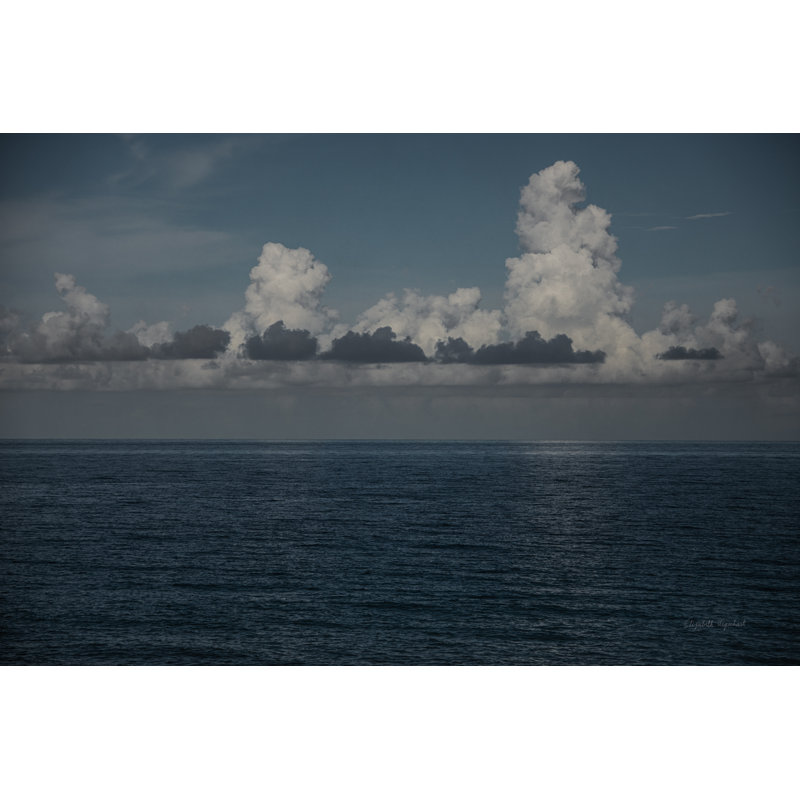 Into the Deep I par Elizabeth Urquhart - photographie sur toile tendue, H 8 po x l 12 po, Non, Wrapped Canvas