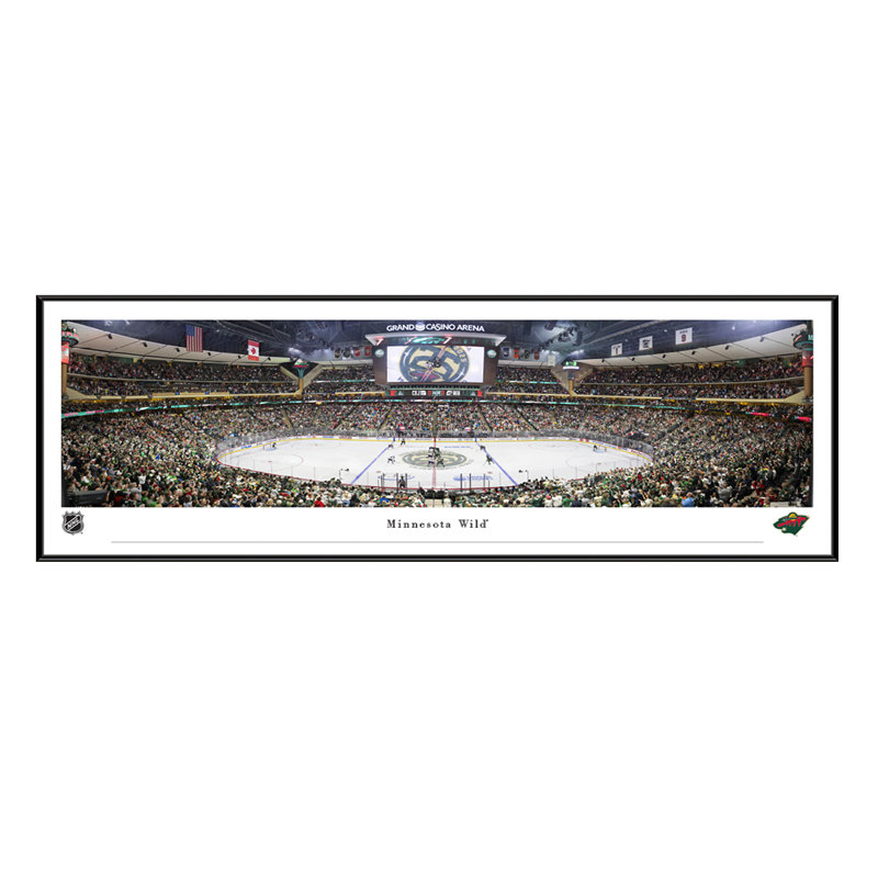 Minnesota Wild, Center Ice - Standard Frame