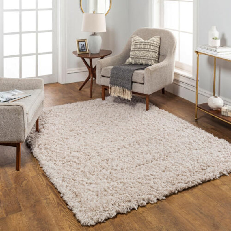 Gilkey Indoor Rug, Rectangle 5'3" x 7'
