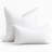 Goose Feather & Down Pillow Insert, 95% Feather 5% Down, Plush Decorative Pillow Insert-108994944-108994947