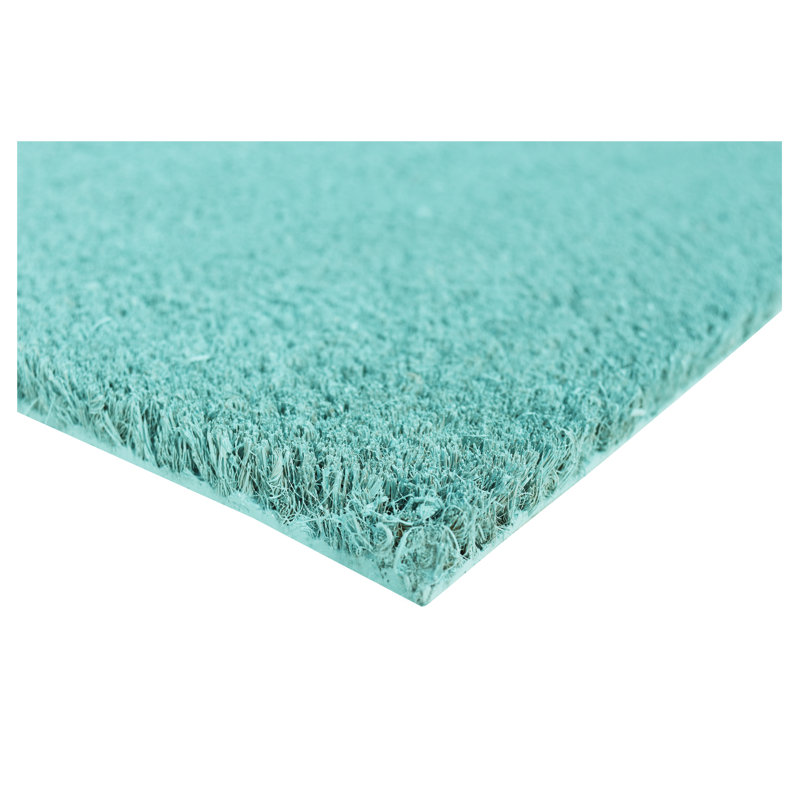 Tapis d'extérieur antidérapant Kasper, L 24 po x L 36 po, Cyan