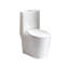 Toilette allongée une pièce à double chasse 1,1 / 1,6 GPF avec siège Comofrt ADA (siège à fermeture en douceur inclus) - option 4 couleurs-121551850