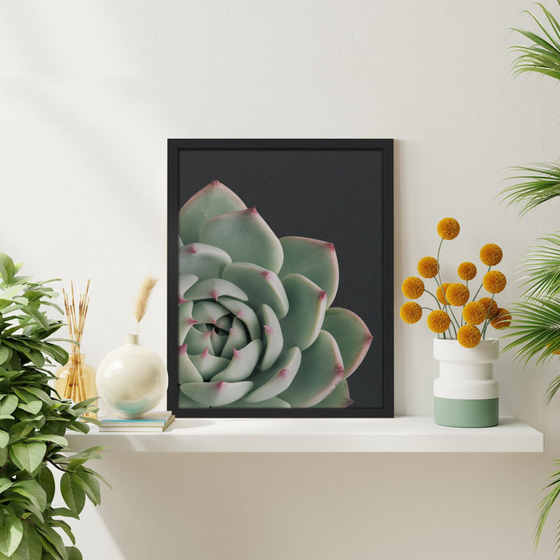" Cactus Succulent Close Up Southwest Red Trip Green ", 10" H x 8" W, Black