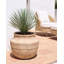 Plant Pot ASKIO 56 cm Beige