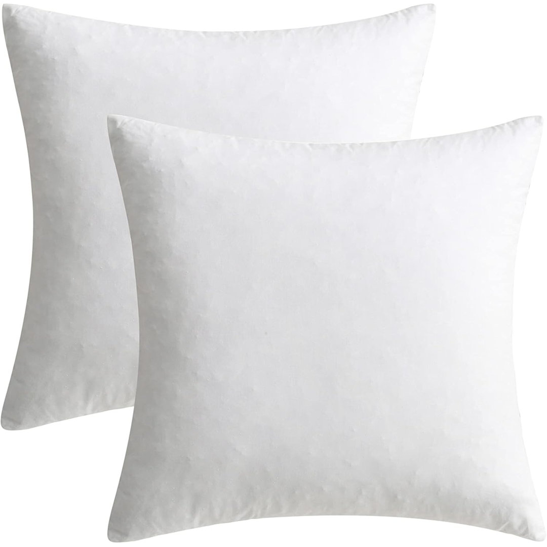 Down Feather Square Accent Pillow Inserts Set of 2 ValenciaLuxe 