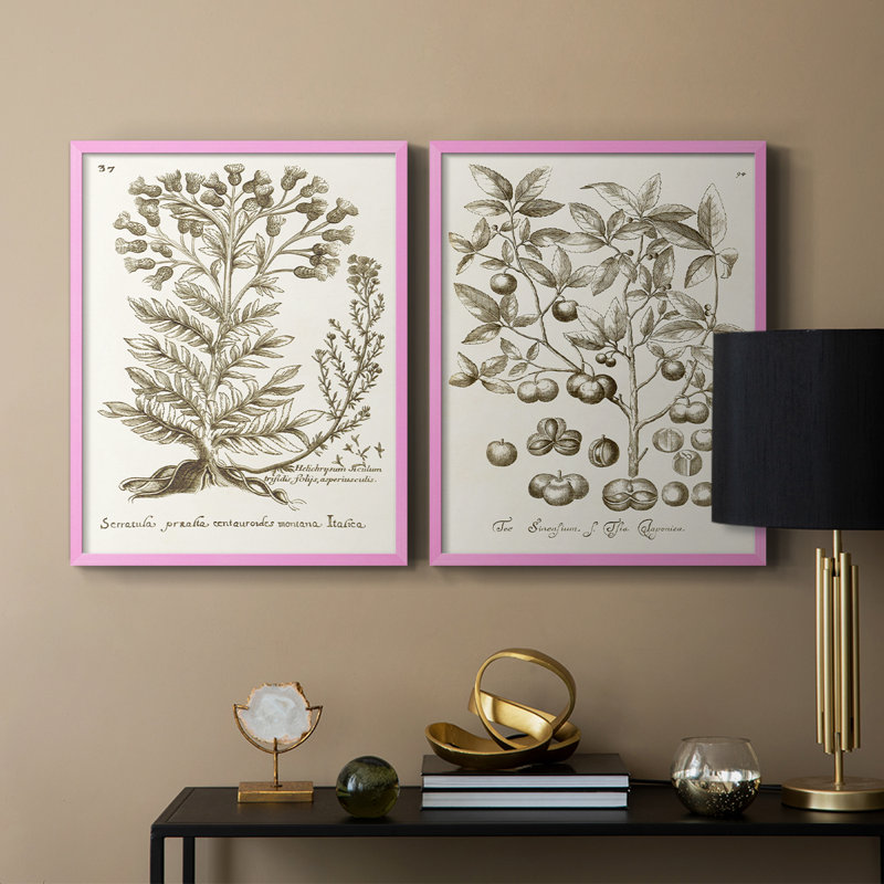 «Sepia Botanical Journal I», reproduction encadrée de qualité supérieure - prête à être accrochée - aucun clou requis - aucun clou requis