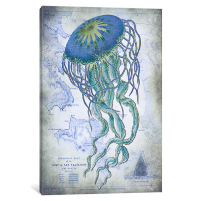 " Jellyfish On Image Of Nautical Map " by Fab Funky