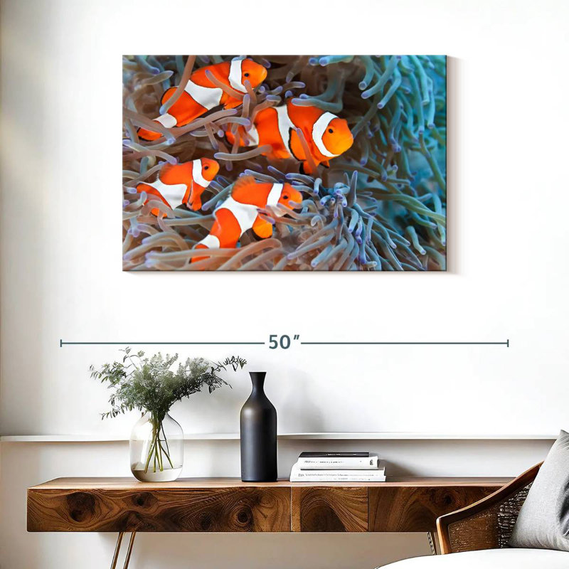 Crowle Clown Fish, 24" H x 36" W
