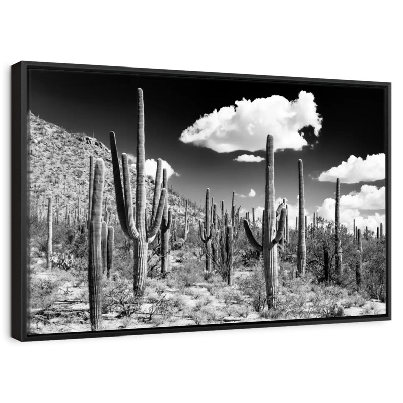 Black Arizona - Cactus Forest, 25" X 17", Floating Frame Black