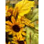 Couronne en polyester 20 po