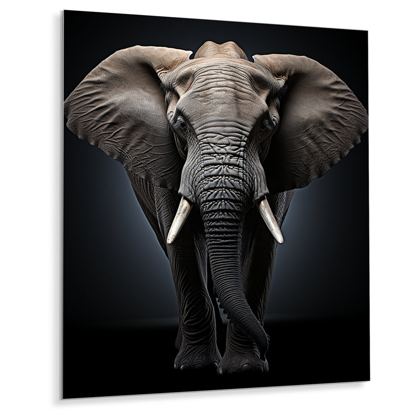 Éléphant noir et blanc Étreinte de la force VII - animaux, éléphant, art mural en métal, salon, H 20 po x l 12 po x P 1 po