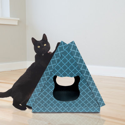 Scratching Post